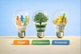 Les 3 piliers de la RSE expliqués en 5 minutes